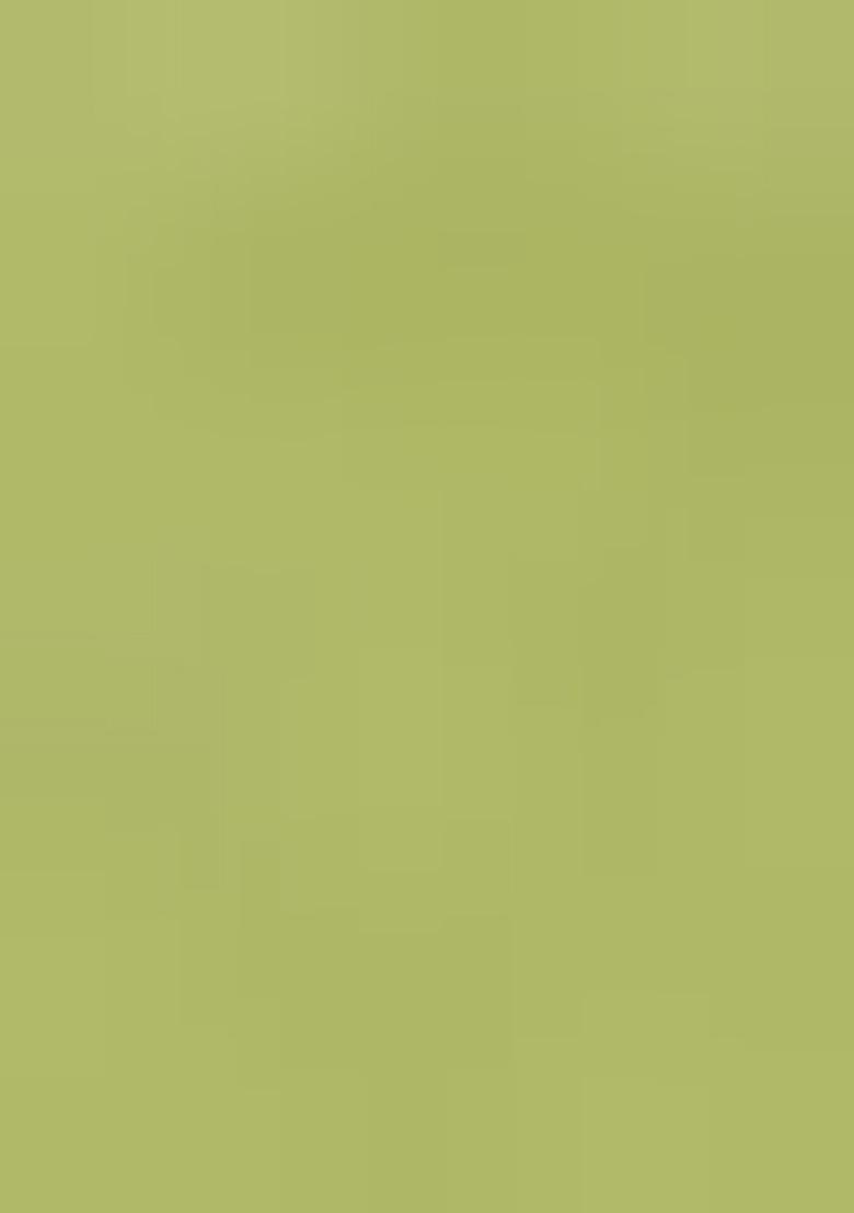 Light Olive Green Embroidered Viscose Dress Material