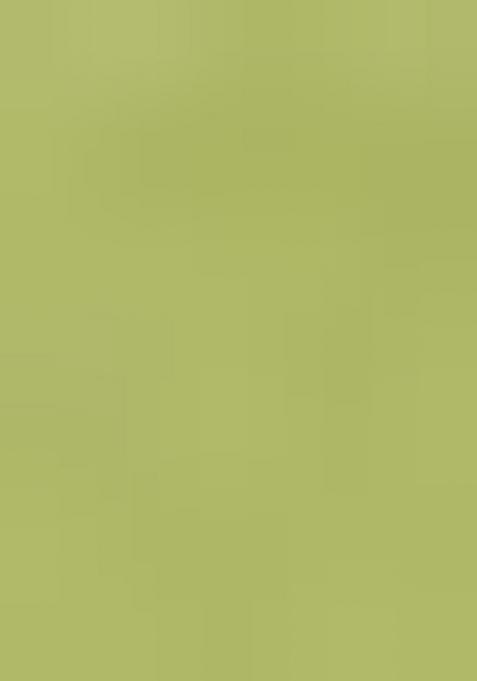 Light Olive Green Embroidered Viscose Dress Material