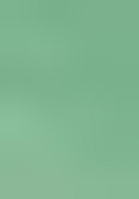 Light Green Embroidered Viscose Dress Material