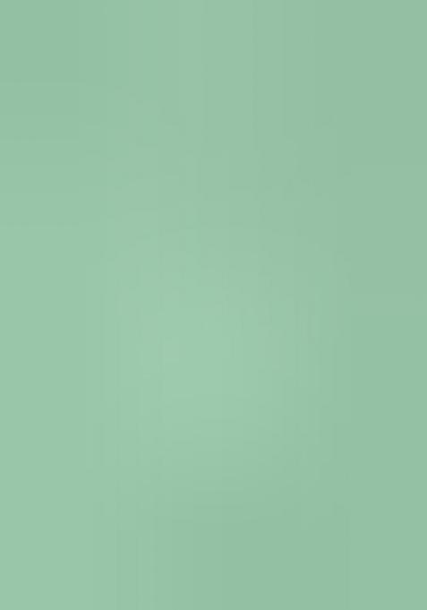 Light Green Embroidered Viscose Dress Material