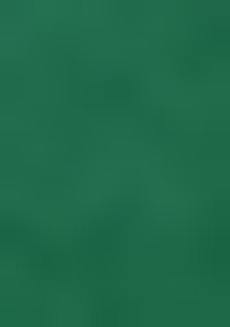 Green Embroidered Georgette Dress Material - Indya