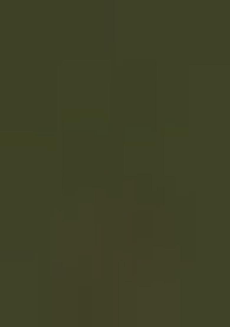 Mehandi Embroidered Georgette Dress Material