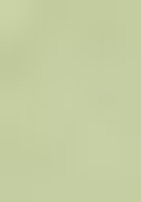 Light Green Embroidered Chanderi Dress Material