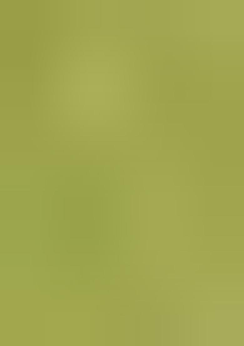 Mehandi Embroidered Jacquard Dress Material