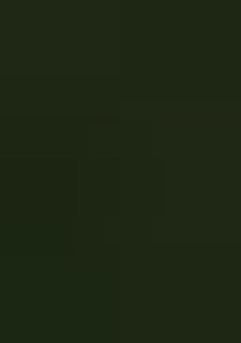 White Embroidered Georgette Dress Material