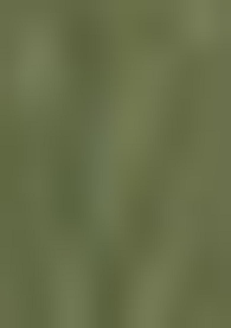 Mehendi Embroidered Silk Salwar Kameez With Dupatta - Indya