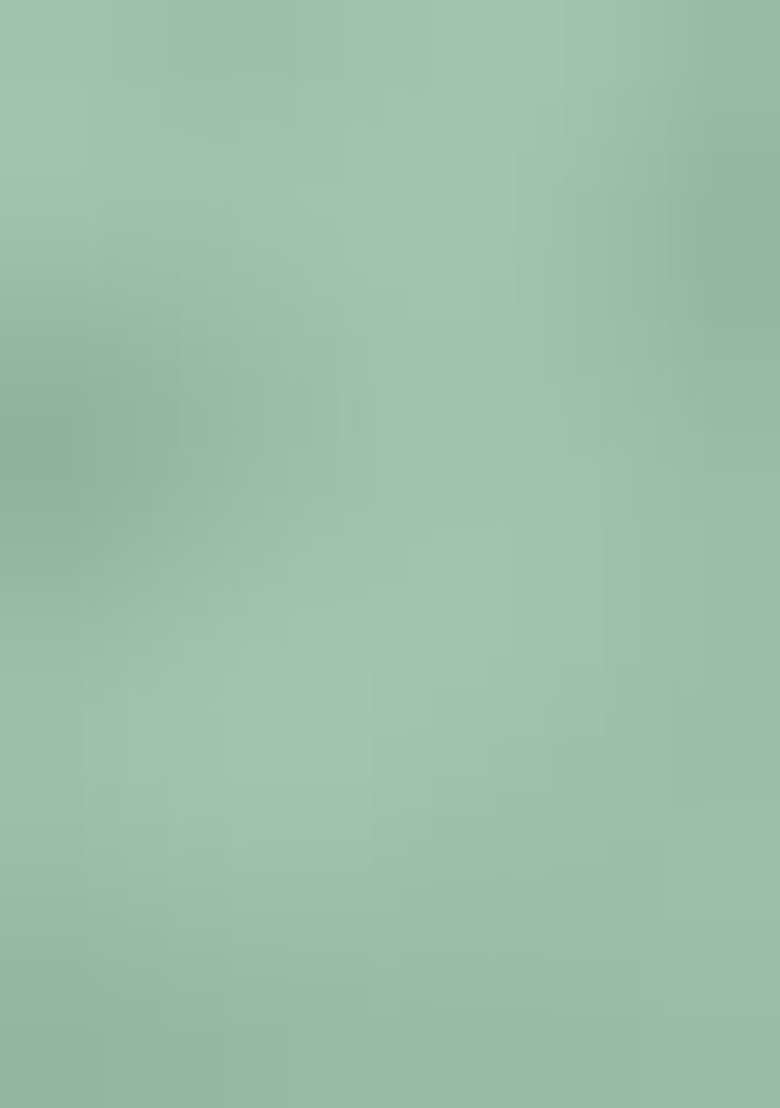 Green Embroidered Silk Blend Straight Kurta Set - Indya
