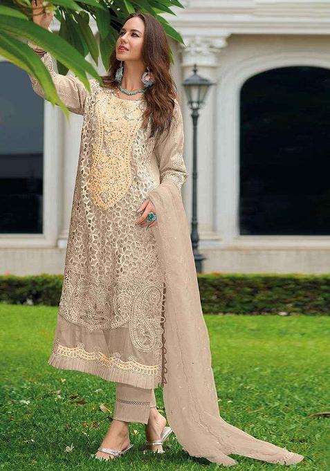 Beige Embroidered Organza Salwar Kameez With Dupatta
