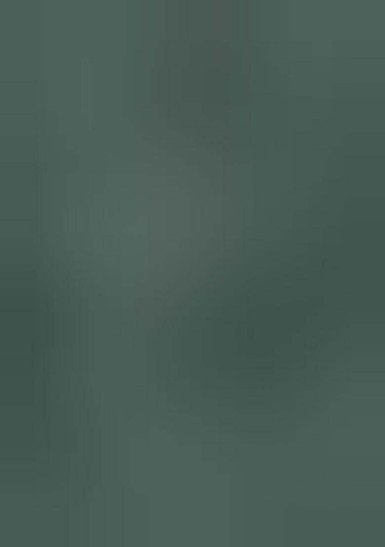 Green Embroidered Silk Salwar Kameez With Dupatta - Indya