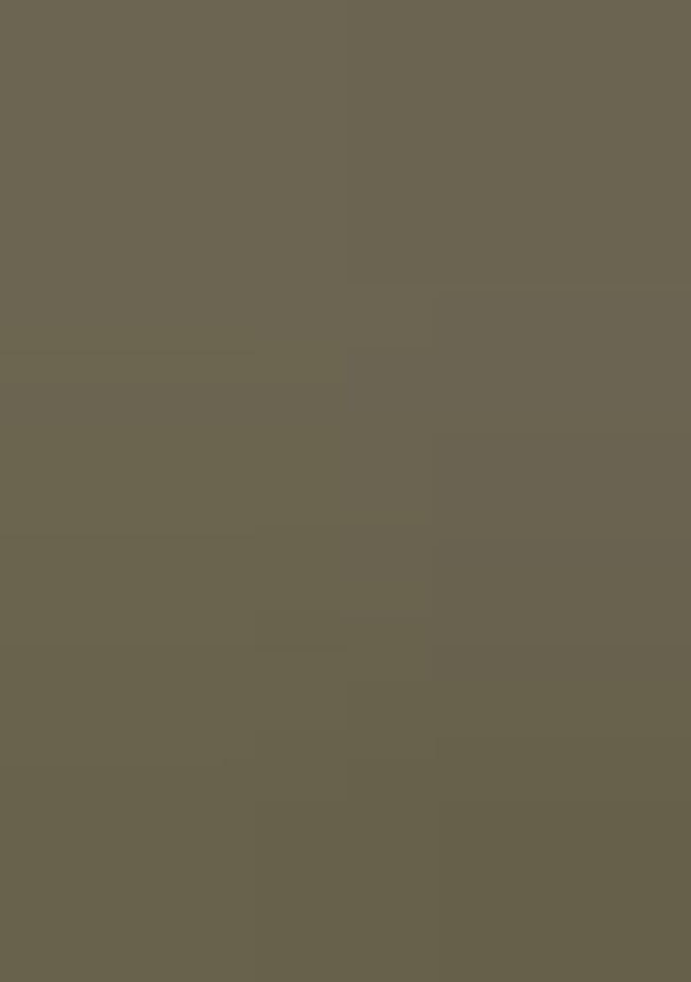 Mehendi Embroidered Georgette Salwar Kameez With Dupatta - Indya