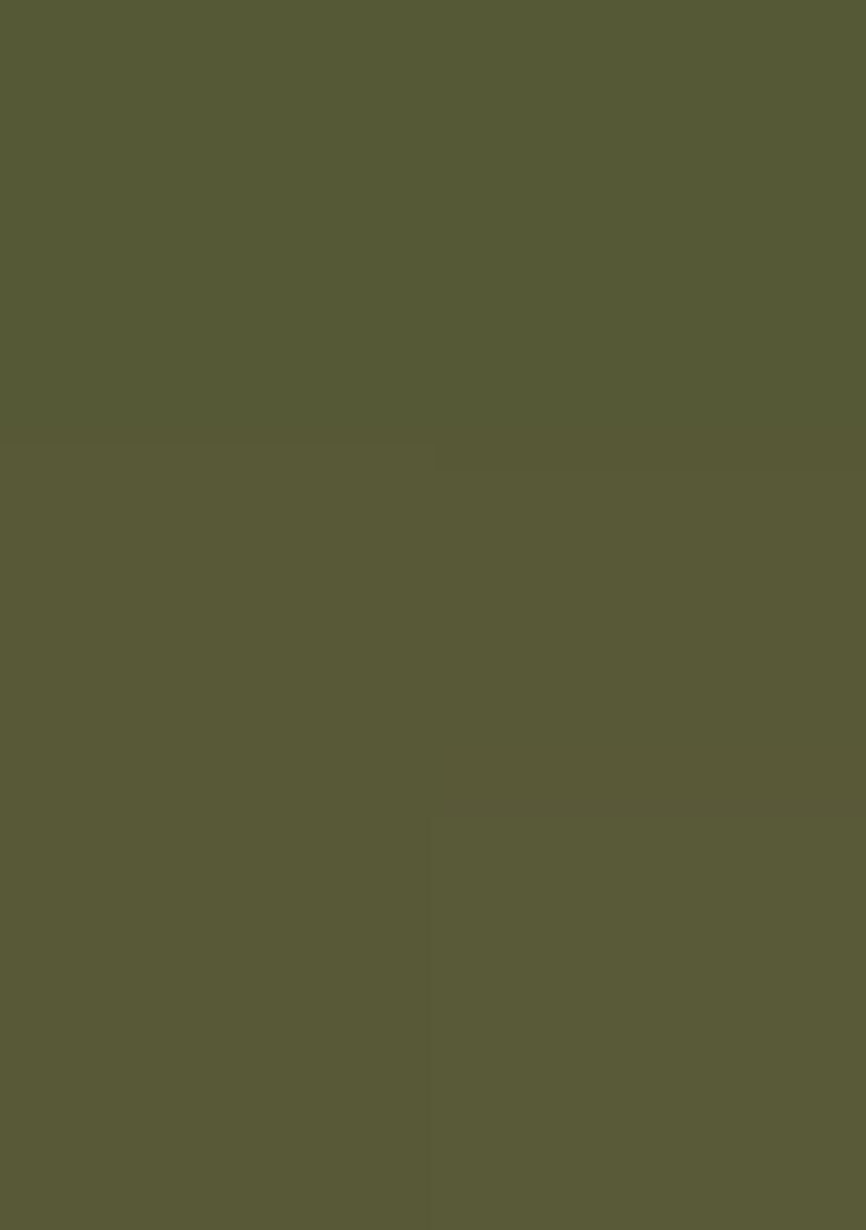 Olive Embroidered Silk Salwar Kameez - Indya