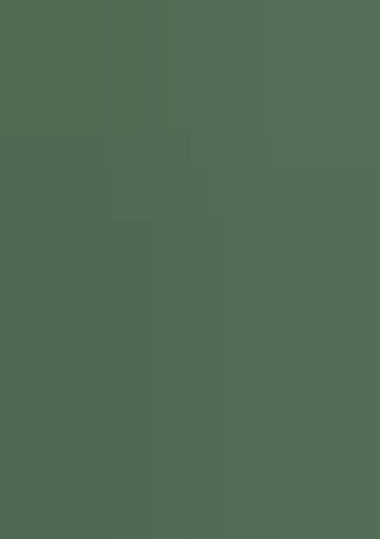 Green Embroidered Silk Salwar Kameez - Indya