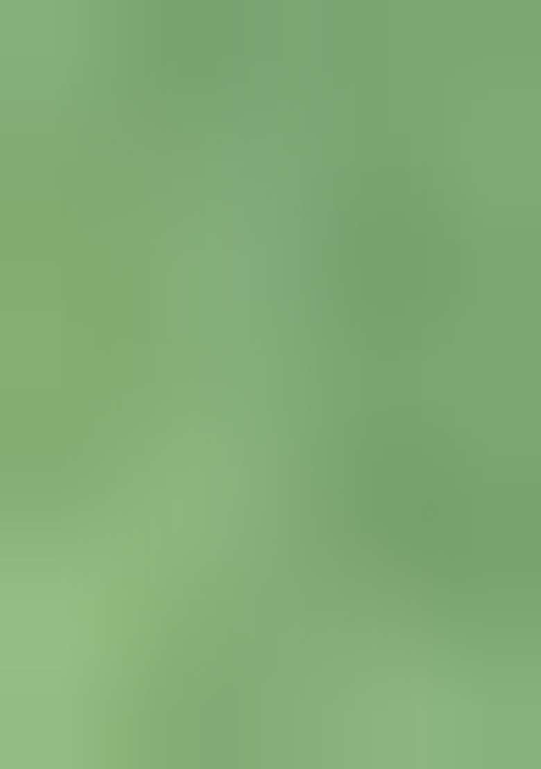 Green Embroidered Chinon Straight Kurta Set - Indya