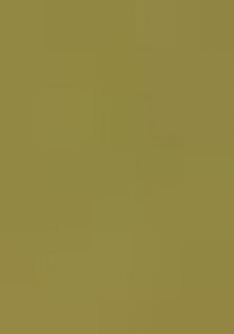 Parrot Green Embroidered Georgette Kurta Set