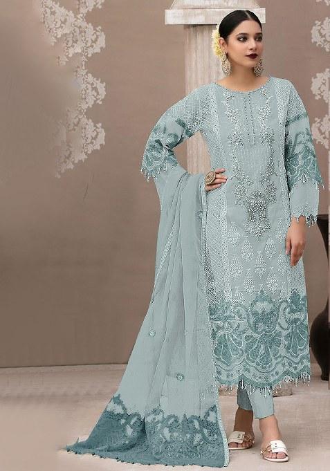 Sky Blue Embroidery Organza Salwar Suit