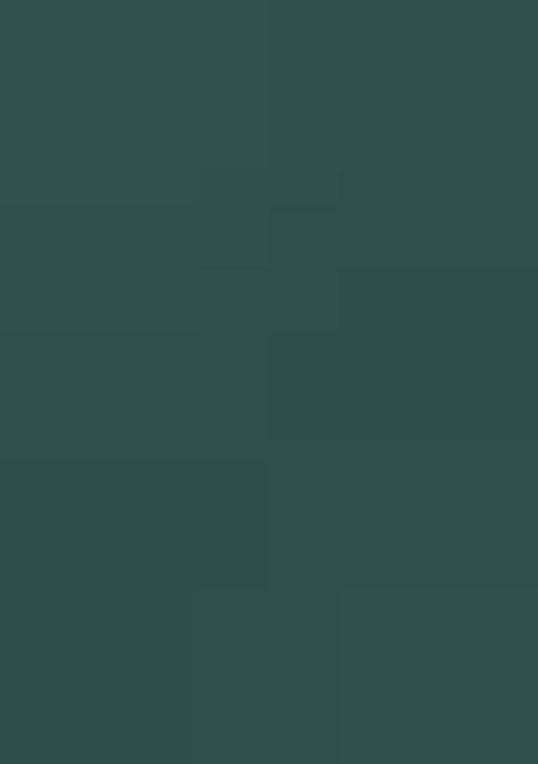 Green Embroidery chiffon Salwar Suit - Indya