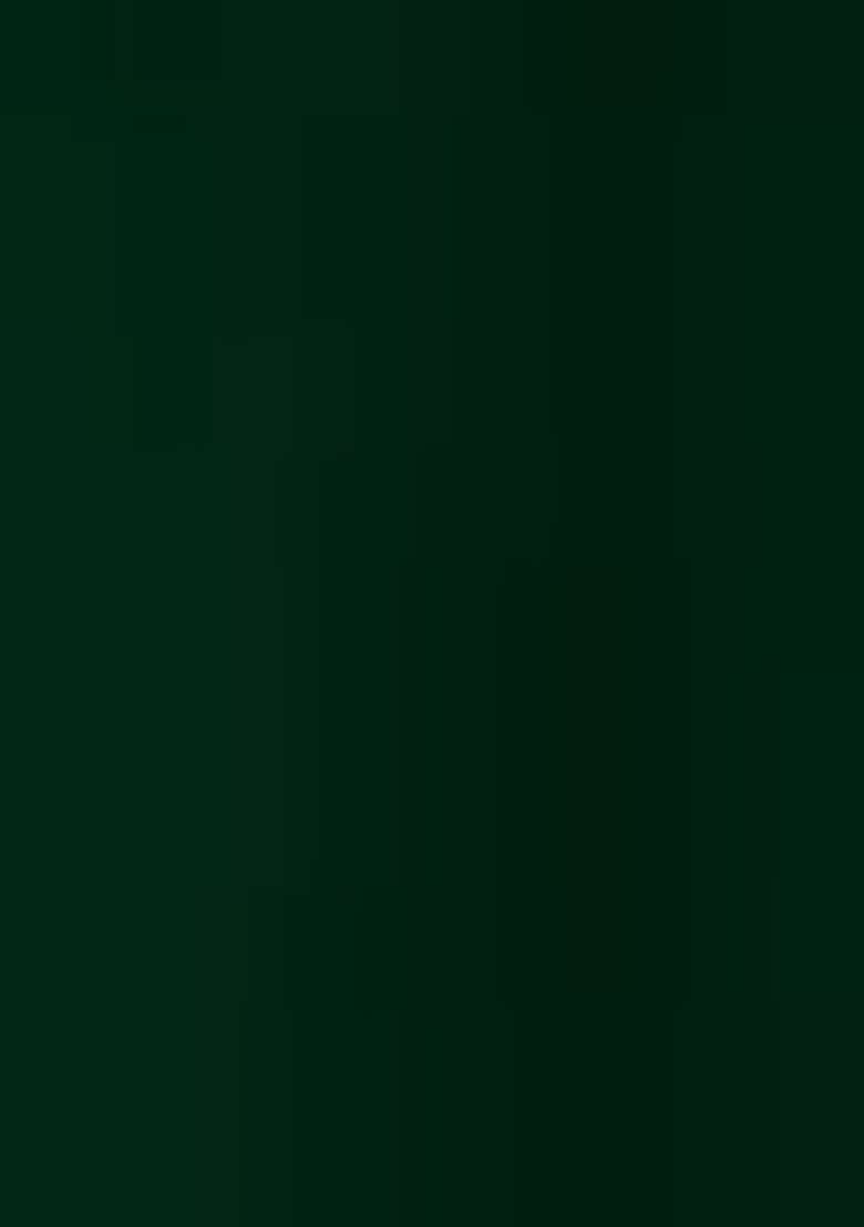 Green Embroidered Georgette Anarkali Set - Indya