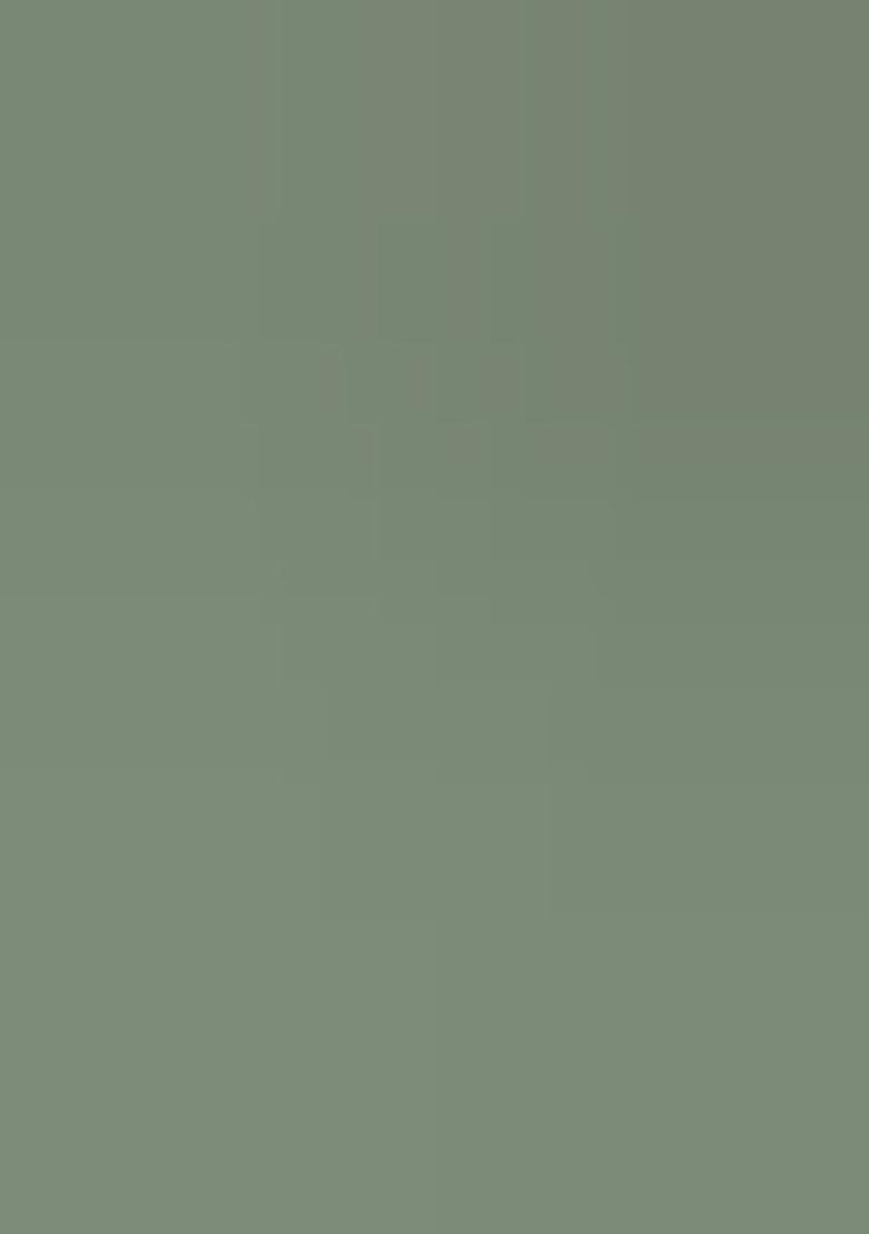 Green Embroidery Georgette Kurta Set - Indya