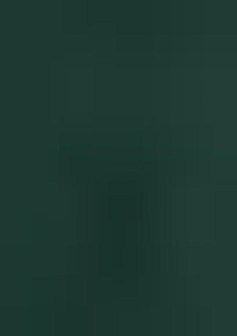 Green Embroidery Georgette Kurta Set - Indya