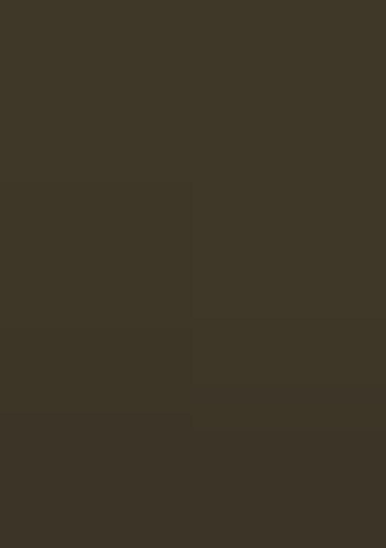 Olive Embroidery Silk Sharara Set - Indya