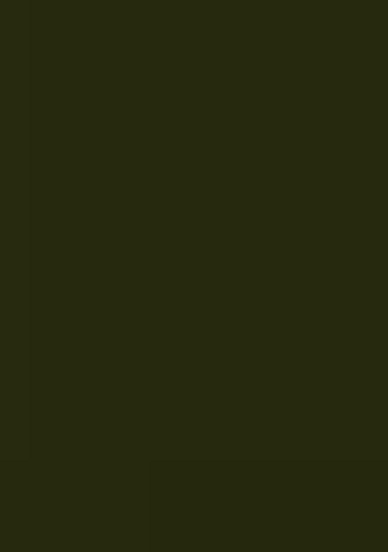 Green Embroidery Jimmy Choo Straight Kurta Set - Indya