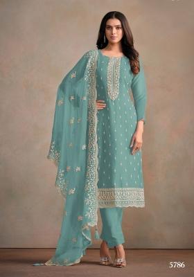 Light Blue Embroidered Organza Salwar Kameez