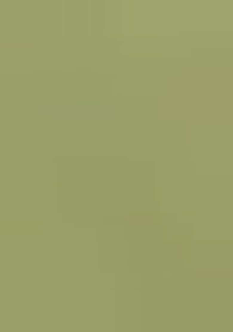 Dusty Green Embroidered Silk Sharara Set - Indya