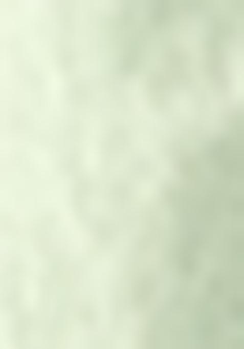 Pista Green Sequin Zari Embroidered Art Silk Lehenga Set