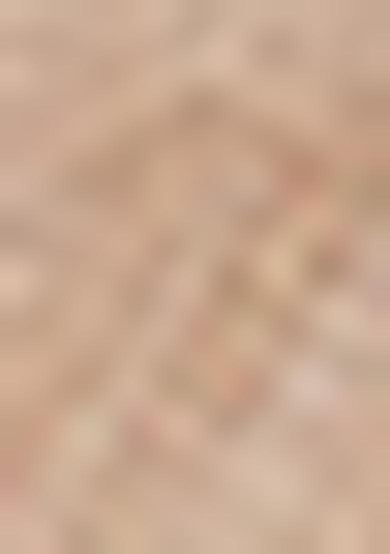 Beige Dori Thread Embroidered Net Lehenga Set