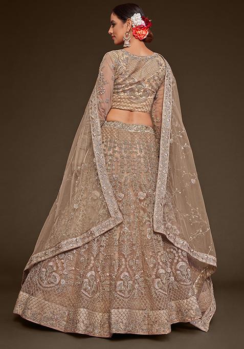 Beige Dori Thread Embroidered Net Lehenga Set