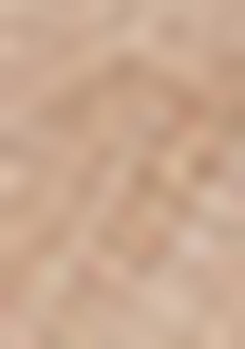 Beige Dori Thread Embroidered Net Lehenga Set