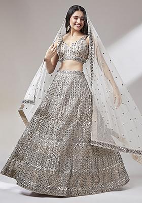 Beige Embroidered Net Lehenga Set