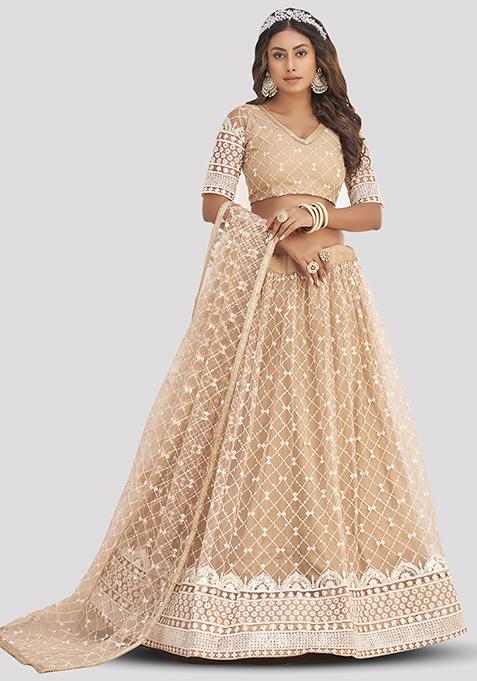 Beige Thread Embroidered Net Lehenga Set