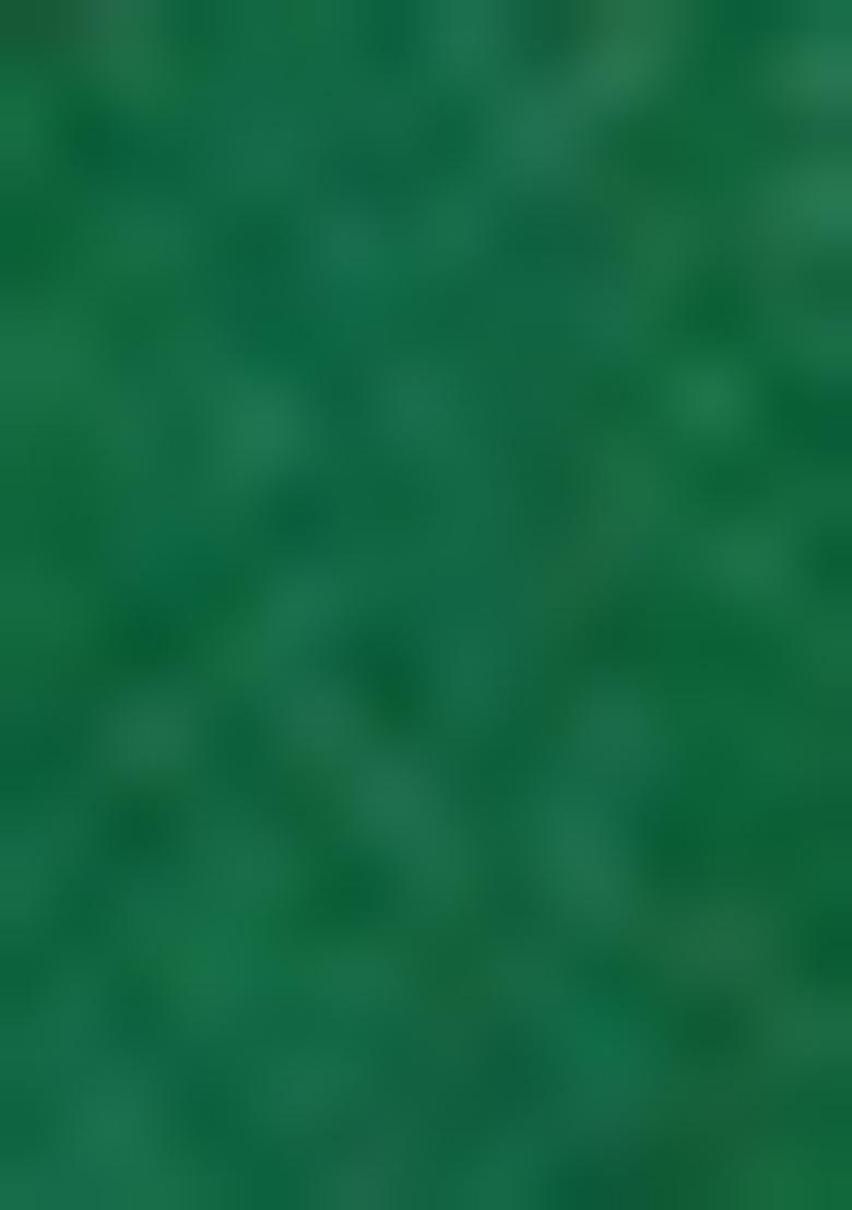 Green Digital Print Satin Silk Lehenga Set