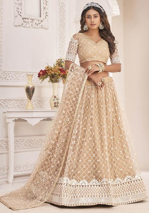 Beige Thread Embroidered Net Lehenga