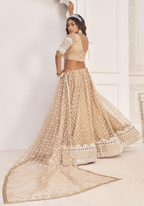 Beige Thread Embroidered Net Lehenga