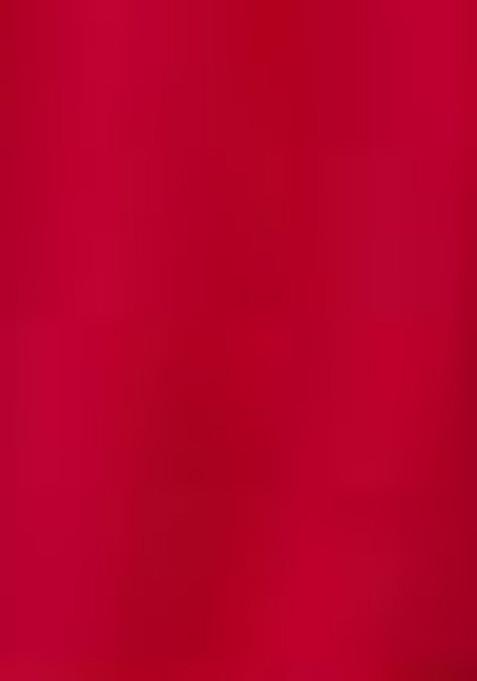 Red Kalamkari Print Tussar Silk Lehenga Set