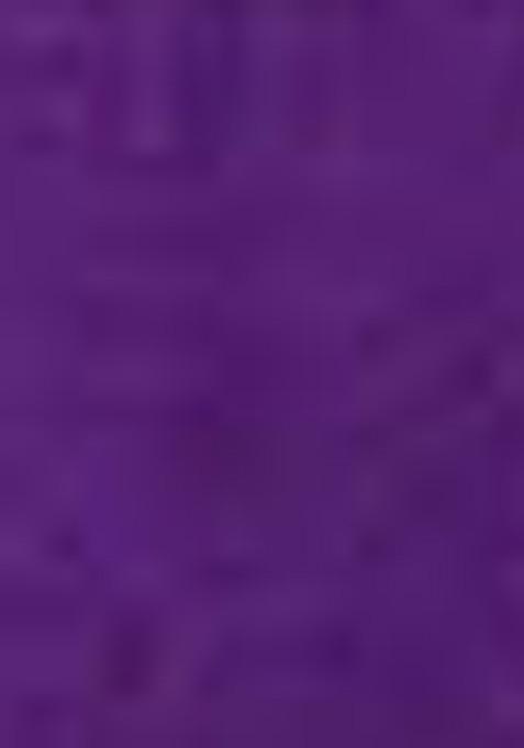 Purple Kalamkari Print Tussar Silk Lehenga Set