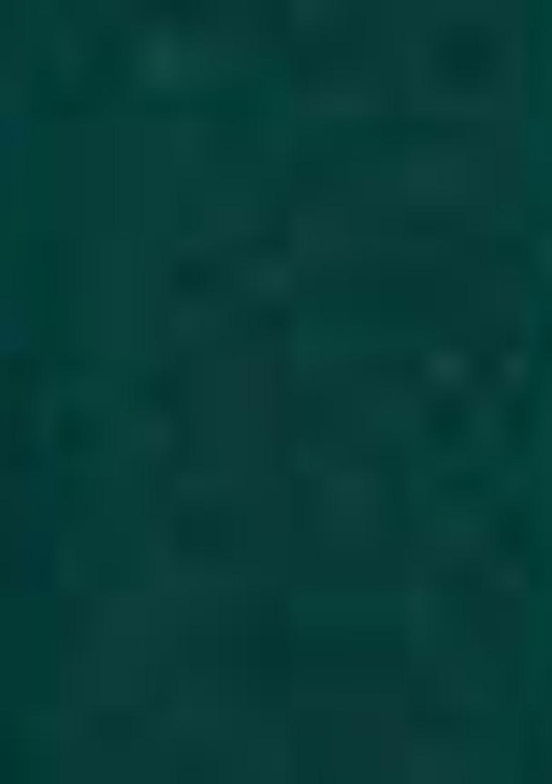 Green Kalamkari Print Tussar Silk Lehenga Set