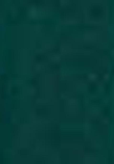 Green Kalamkari Print Tussar Silk Lehenga Set