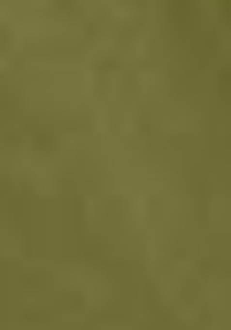 Pink Thread Embroidered Net Lehenga Set