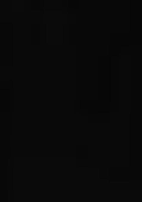 Black Thread Embroidered Net Lehenga Set