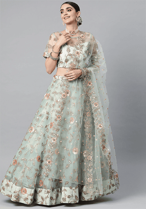 Pista Thread Embroidered Net Lehenga Set