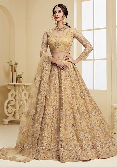 Beige Sequin Embroidered Net Lehenga Set