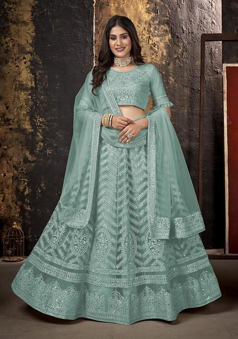 Sky Blue Embroidered Net Lehenga Set