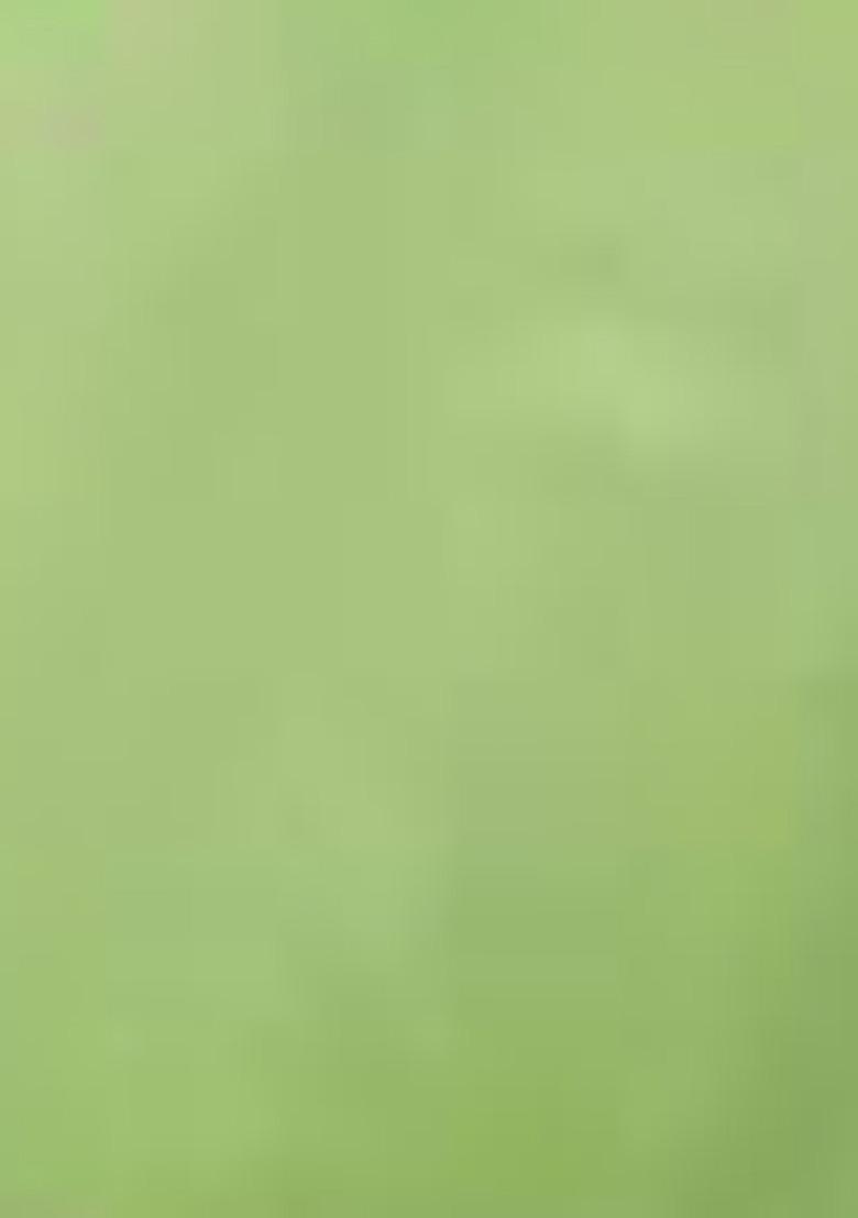 Pista Green Printed Heavy Airtex Chinon Lehenga Set