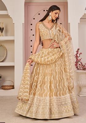 Beige Embroidered Net Lehenga Set
