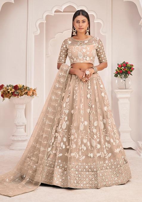 Dusty Chiku Brown Embroidered Net Lehenga Set