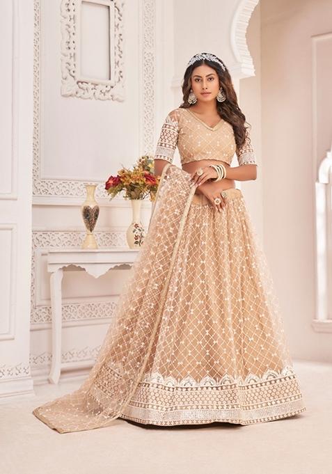 Dusty Chiku Brown Embroidered Net Lehenga Set