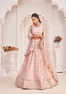 Baby Pink Embroidered Net Lehenga Set